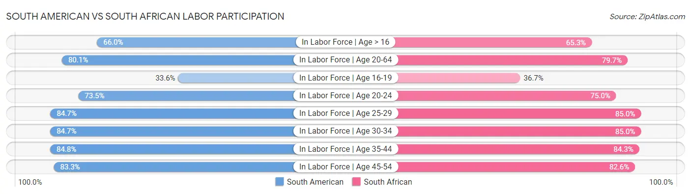 South American vs South African Labor Participation