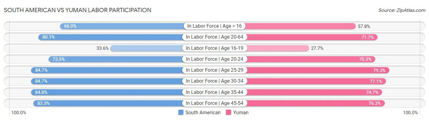 South American vs Yuman Labor Participation