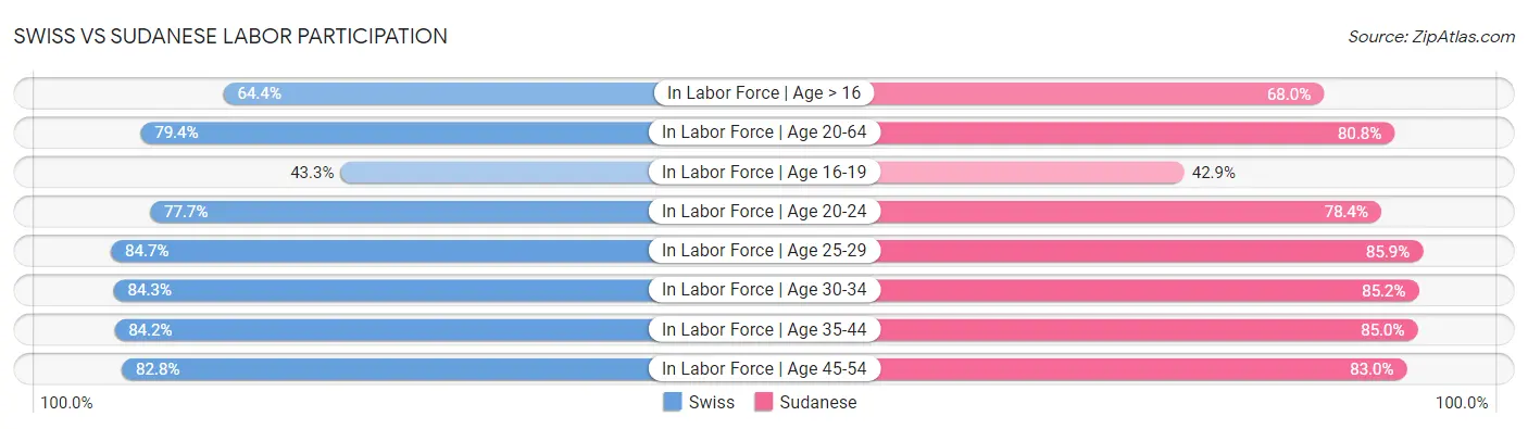 Swiss vs Sudanese Labor Participation