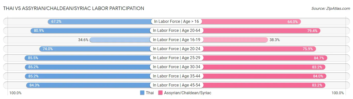 Thai vs Assyrian/Chaldean/Syriac Labor Participation