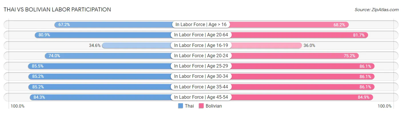 Thai vs Bolivian Labor Participation