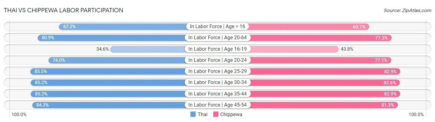 Thai vs Chippewa Labor Participation