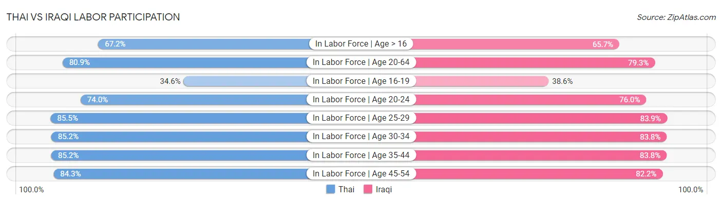 Thai vs Iraqi Labor Participation