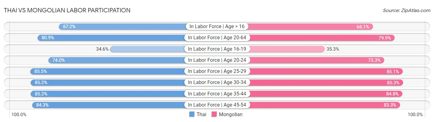 Thai vs Mongolian Labor Participation