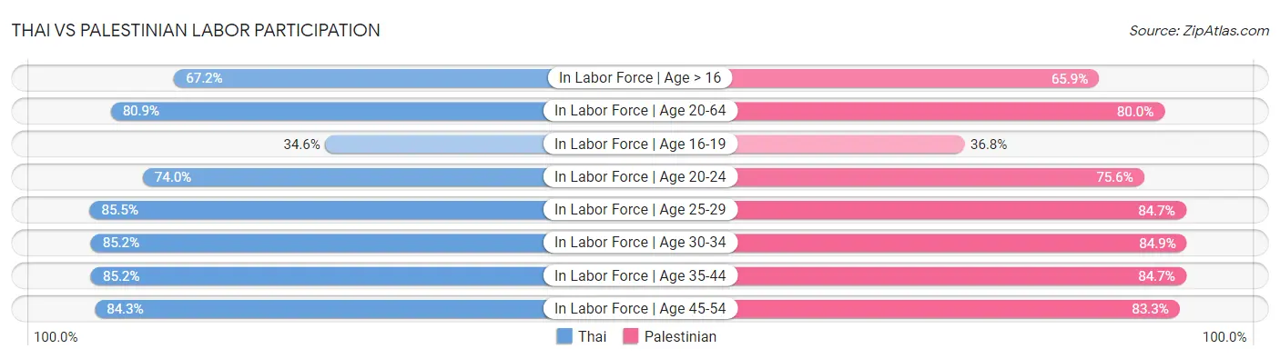 Thai vs Palestinian Labor Participation