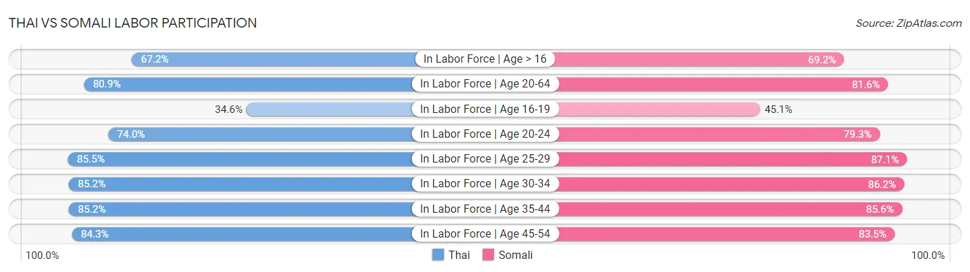 Thai vs Somali Labor Participation