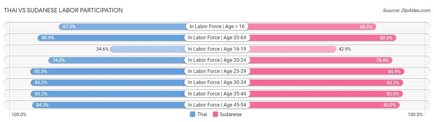 Thai vs Sudanese Labor Participation