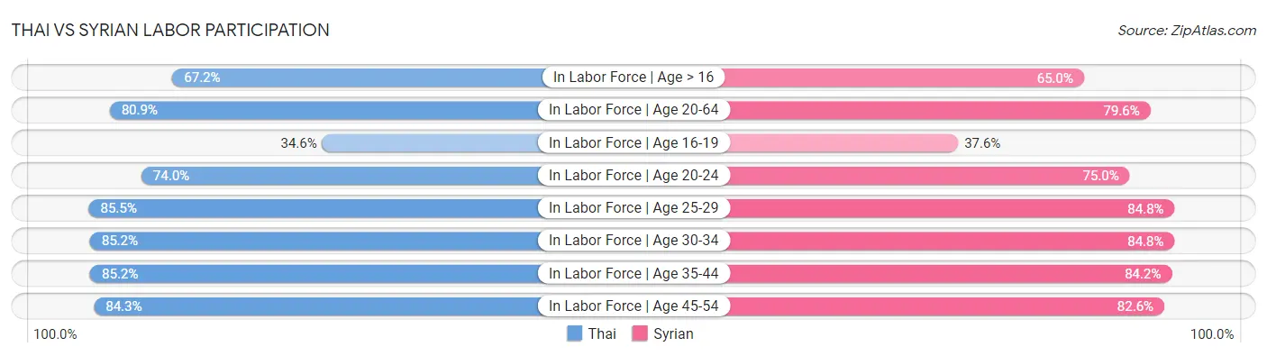 Thai vs Syrian Labor Participation