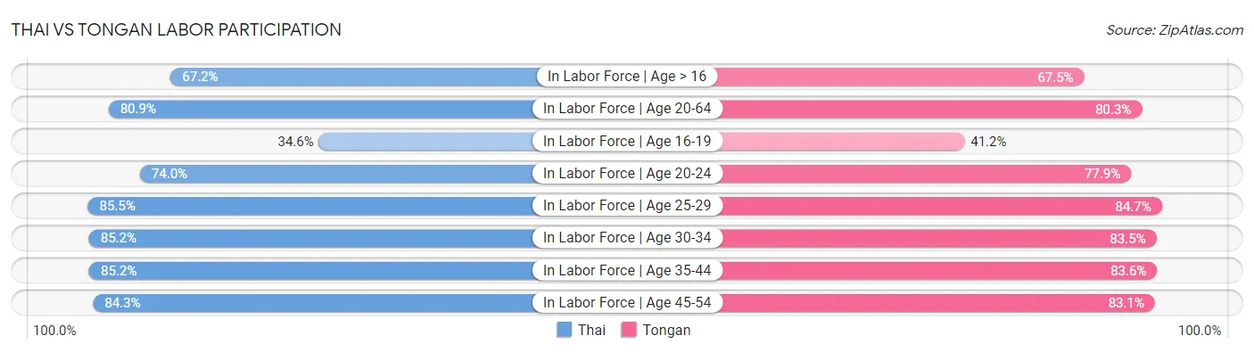 Thai vs Tongan Labor Participation