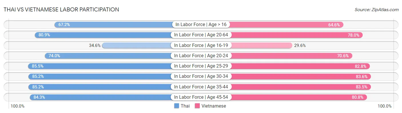 Thai vs Vietnamese Labor Participation