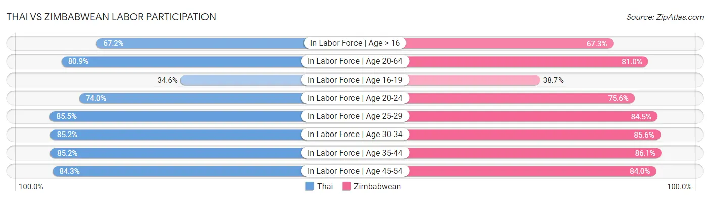 Thai vs Zimbabwean Labor Participation