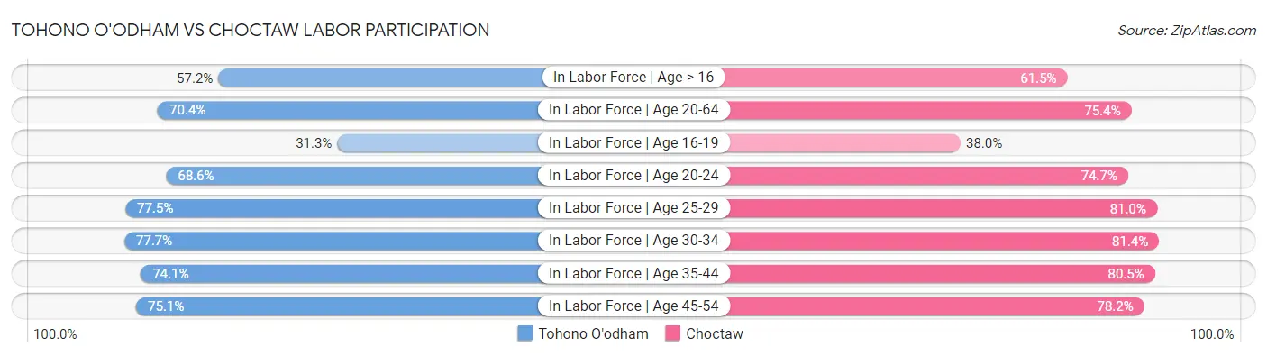 Tohono O'odham vs Choctaw Labor Participation