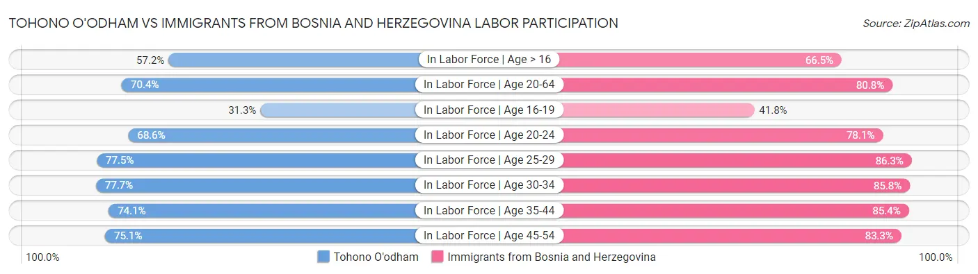 Tohono O'odham vs Immigrants from Bosnia and Herzegovina Labor Participation