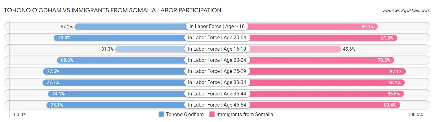 Tohono O'odham vs Immigrants from Somalia Labor Participation
