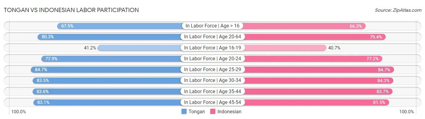 Tongan vs Indonesian Labor Participation