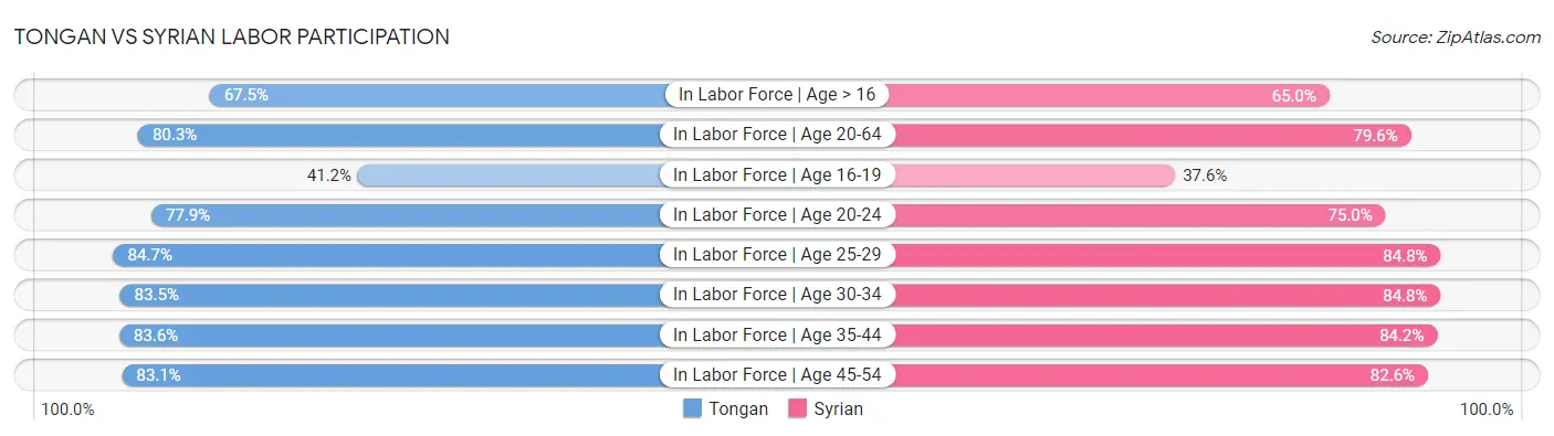 Tongan vs Syrian Labor Participation