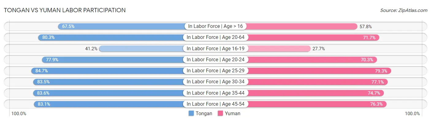 Tongan vs Yuman Labor Participation