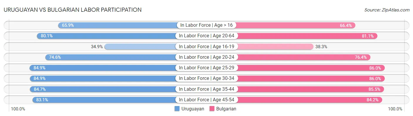Uruguayan vs Bulgarian Labor Participation