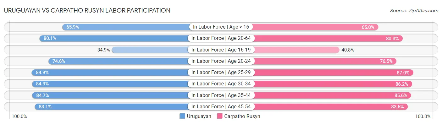 Uruguayan vs Carpatho Rusyn Labor Participation