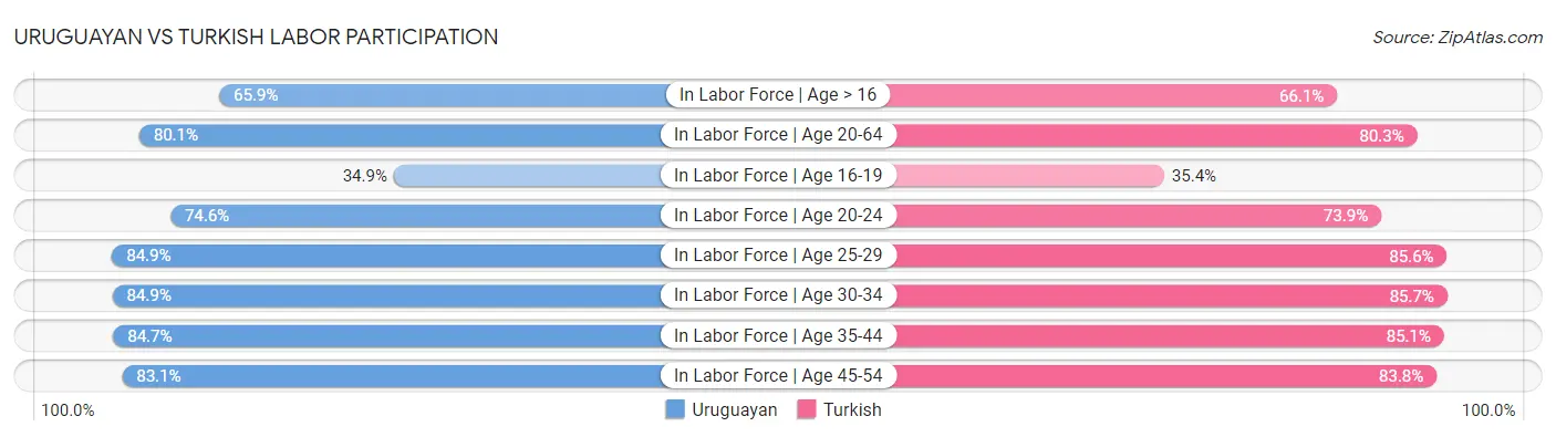 Uruguayan vs Turkish Labor Participation