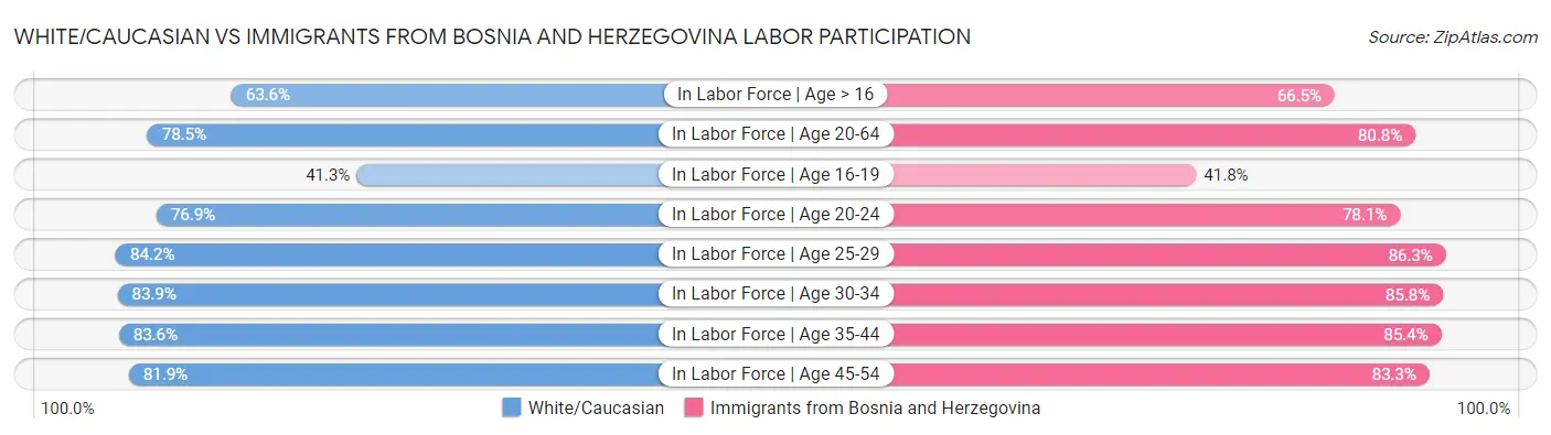 White/Caucasian vs Immigrants from Bosnia and Herzegovina Labor Participation
