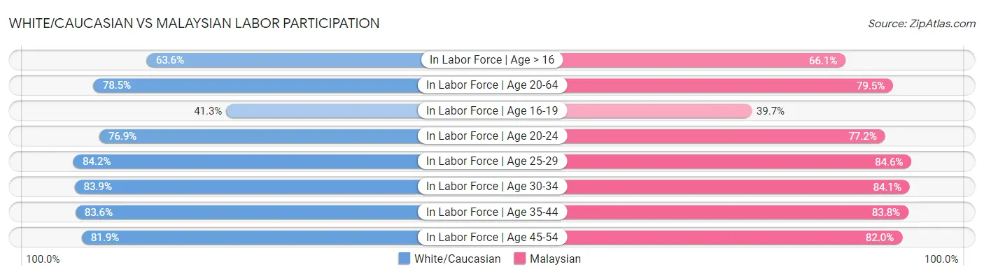 White/Caucasian vs Malaysian Labor Participation