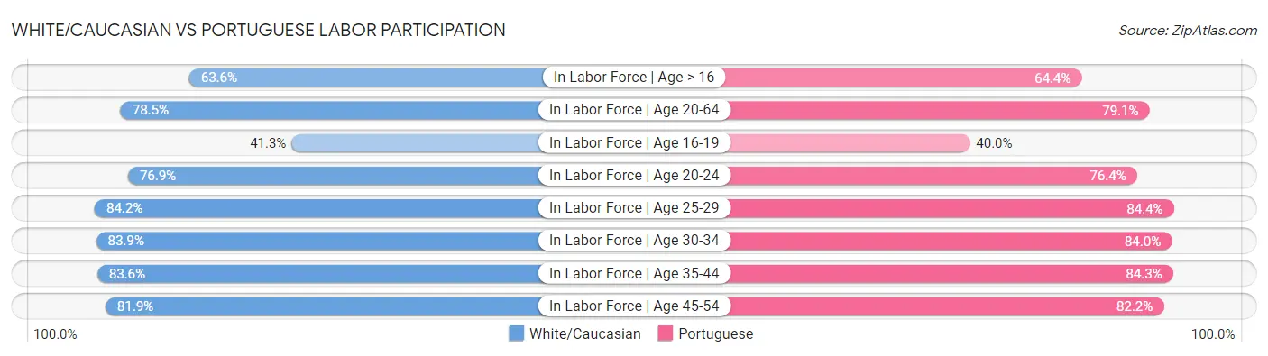 White/Caucasian vs Portuguese Labor Participation