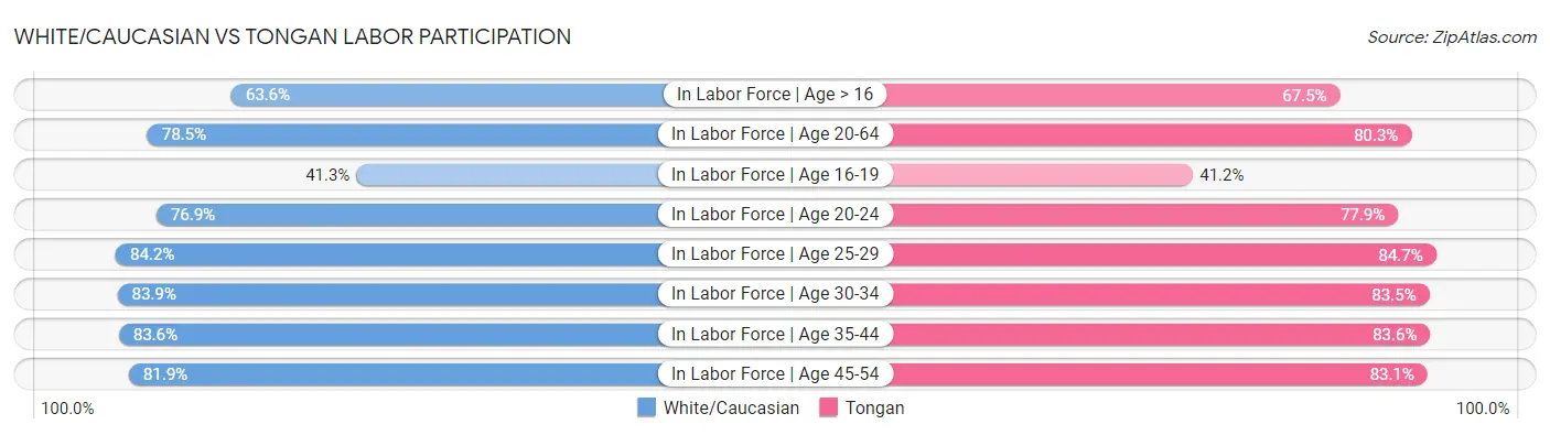 White/Caucasian vs Tongan Labor Participation
