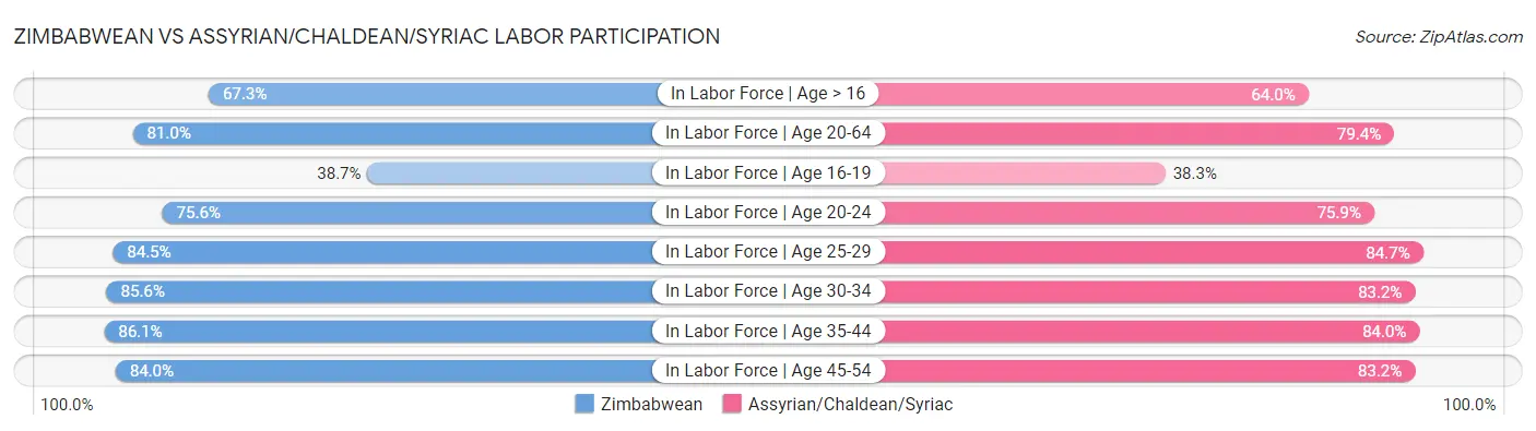 Zimbabwean vs Assyrian/Chaldean/Syriac Labor Participation