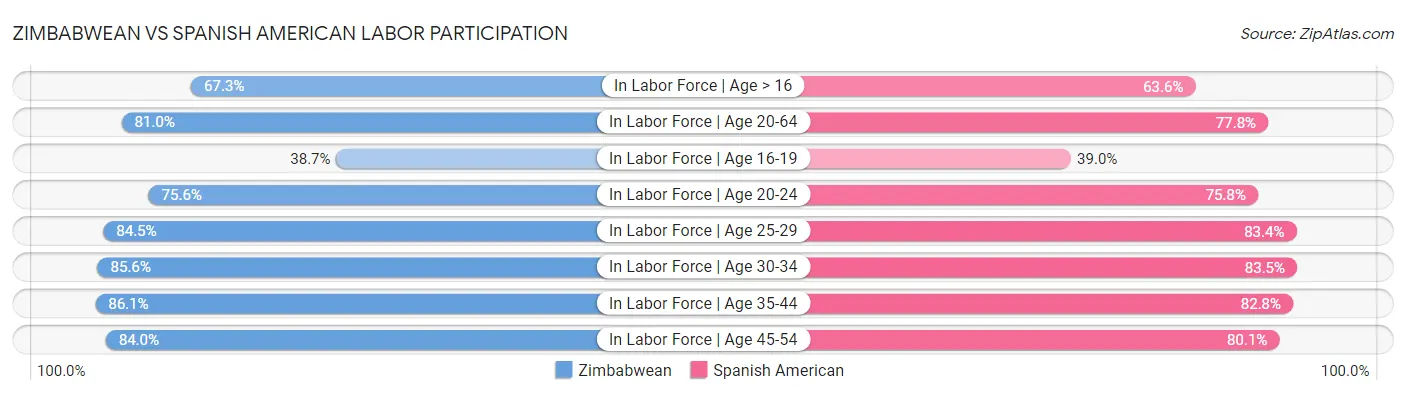 Zimbabwean vs Spanish American Labor Participation