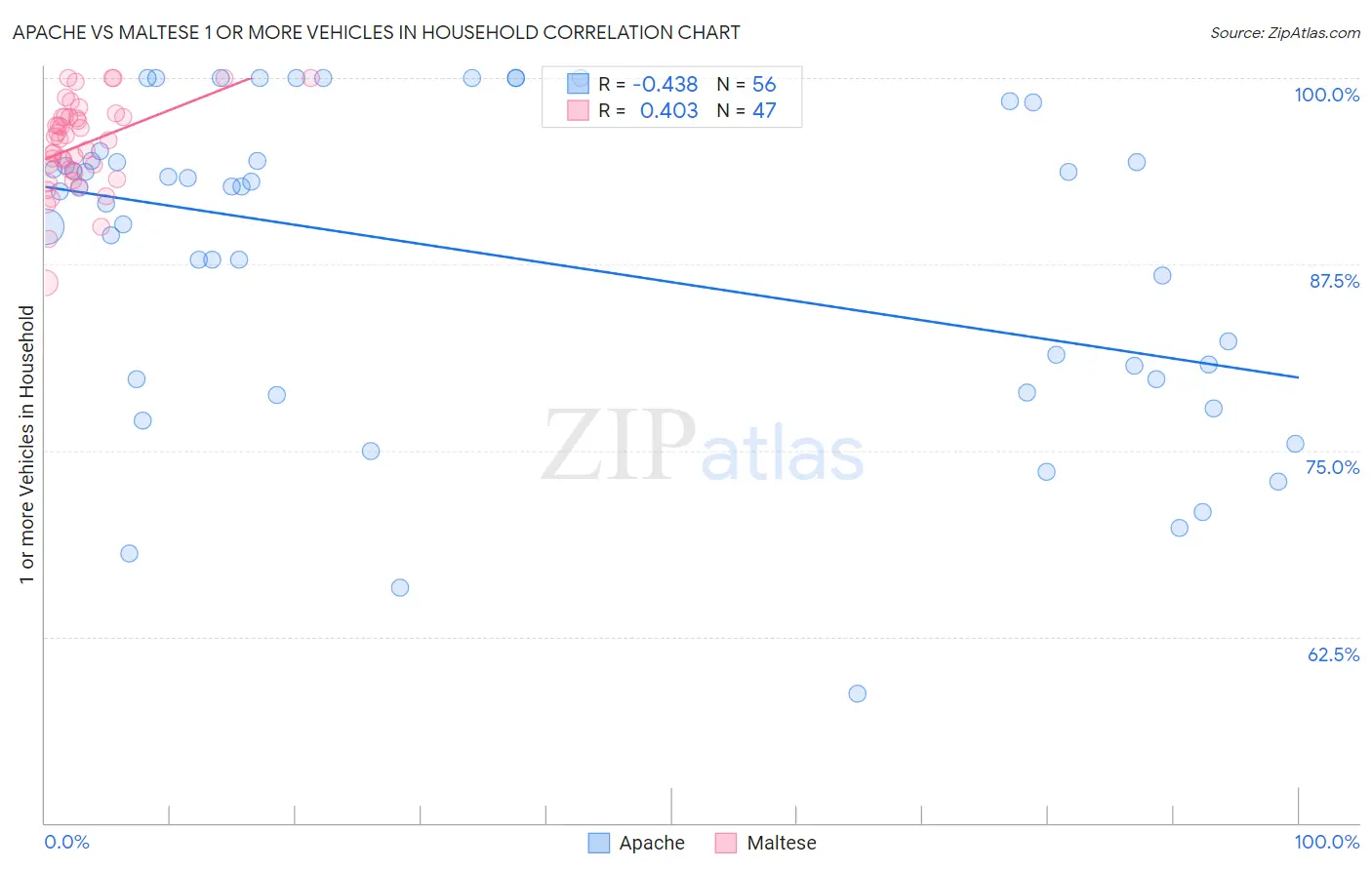 Apache vs Maltese 1 or more Vehicles in Household