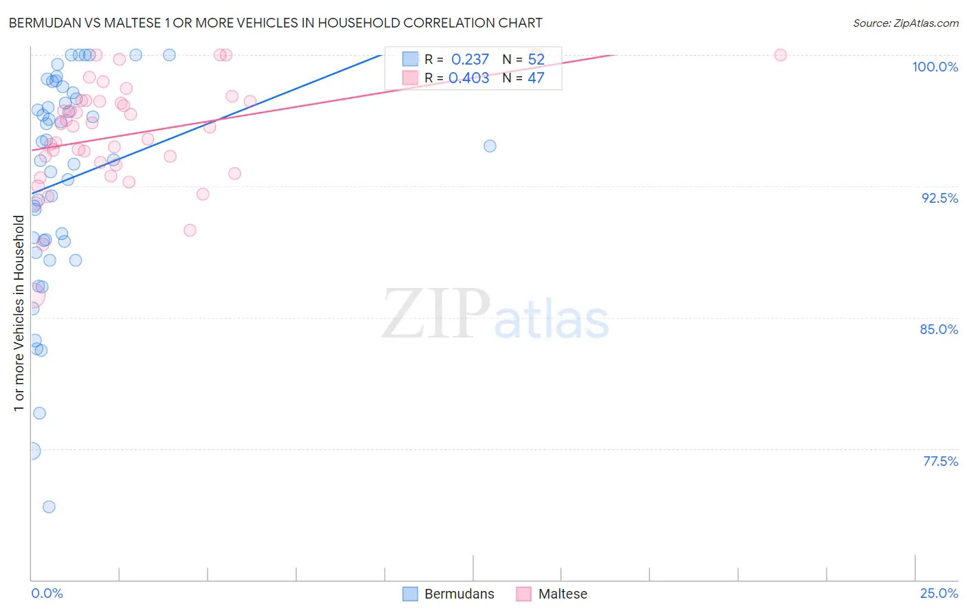 Bermudan vs Maltese 1 or more Vehicles in Household