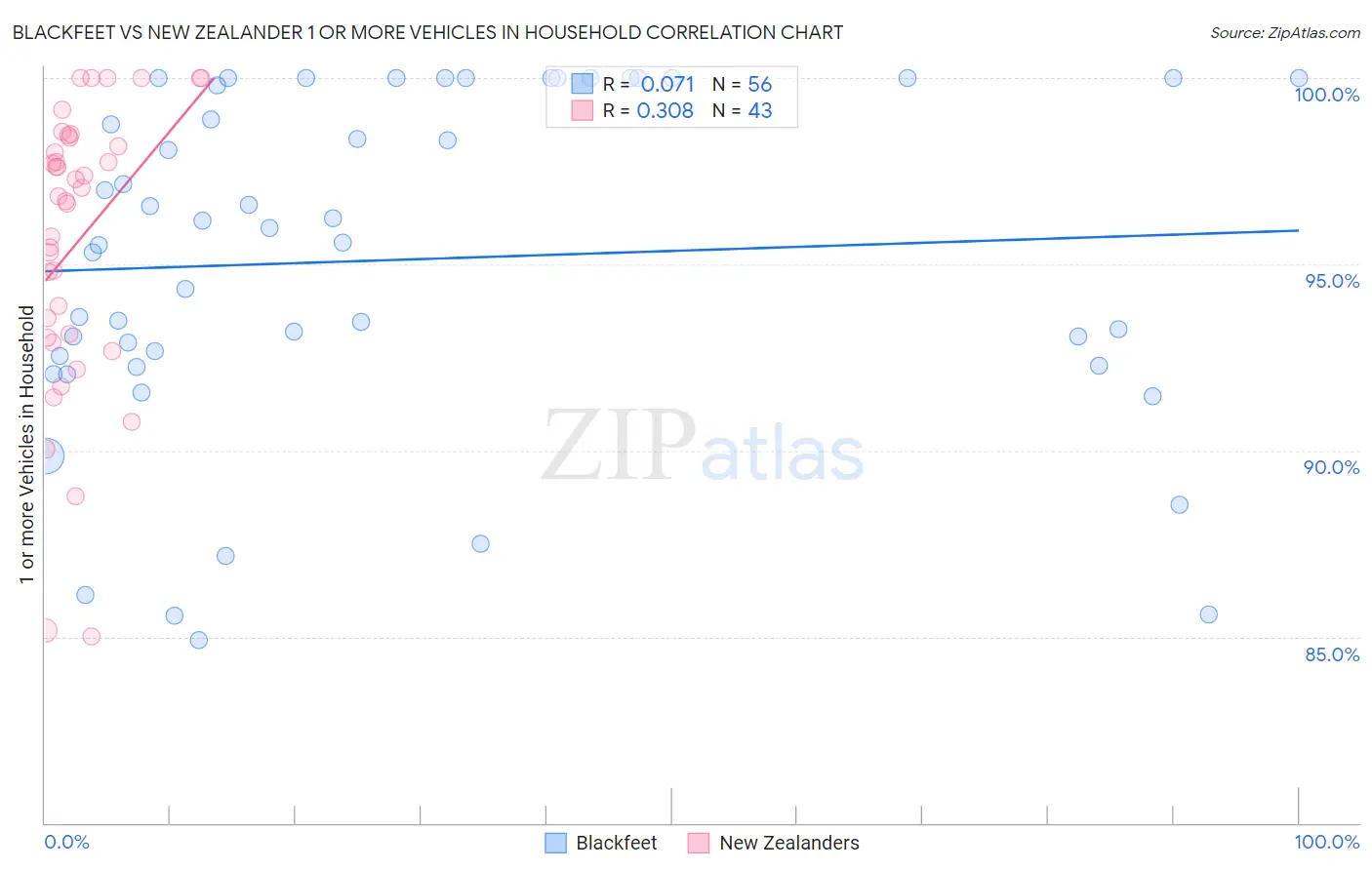 Blackfeet vs New Zealander 1 or more Vehicles in Household