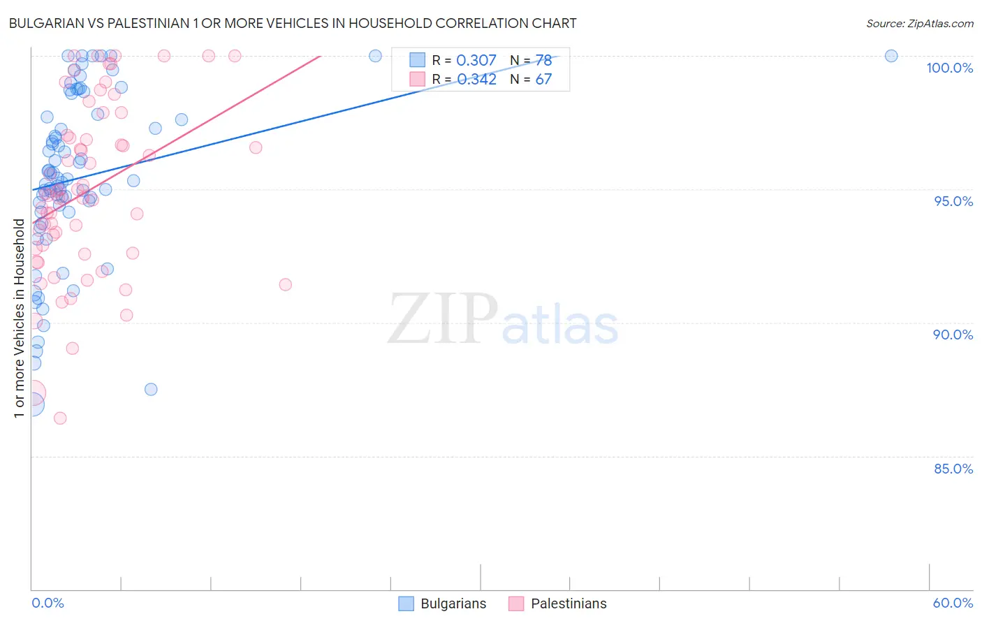 Bulgarian vs Palestinian 1 or more Vehicles in Household