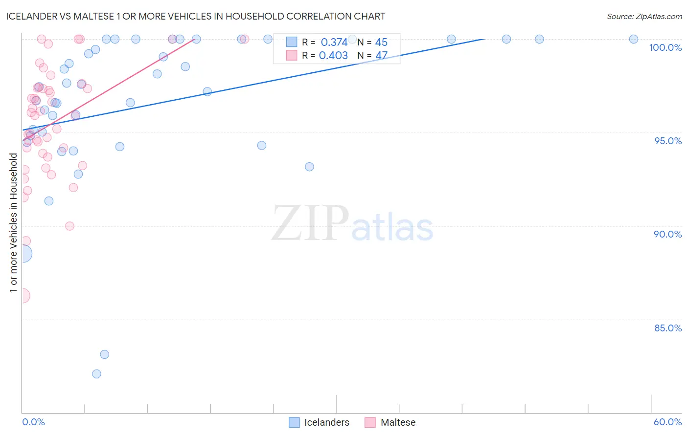 Icelander vs Maltese 1 or more Vehicles in Household