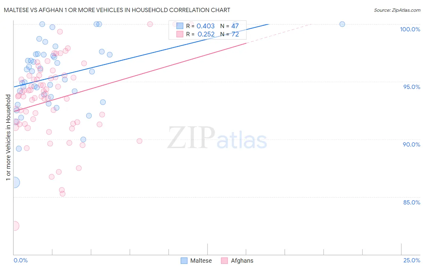 Maltese vs Afghan 1 or more Vehicles in Household