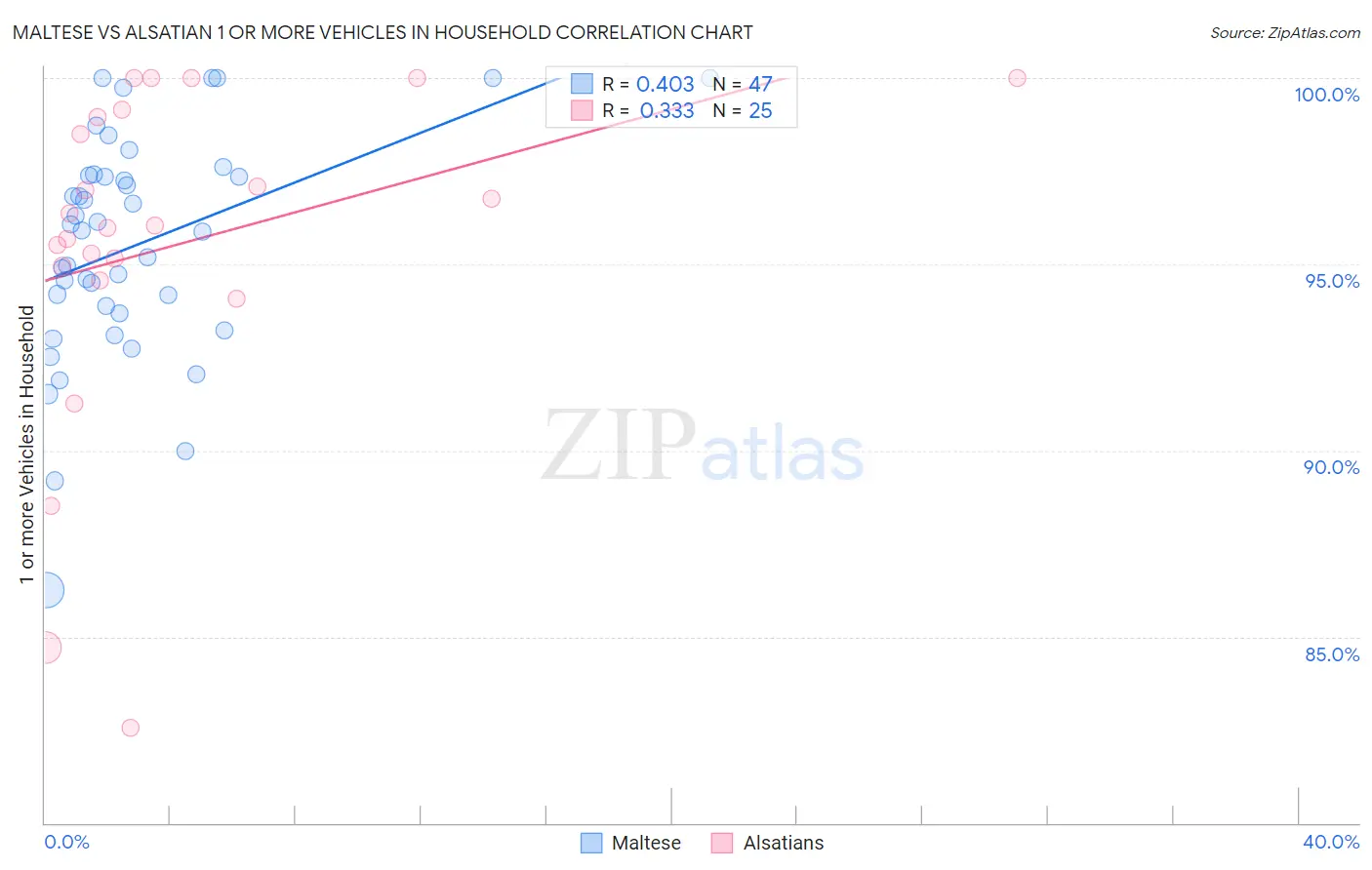 Maltese vs Alsatian 1 or more Vehicles in Household