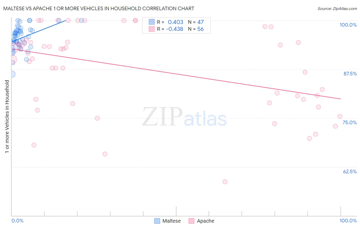 Maltese vs Apache 1 or more Vehicles in Household