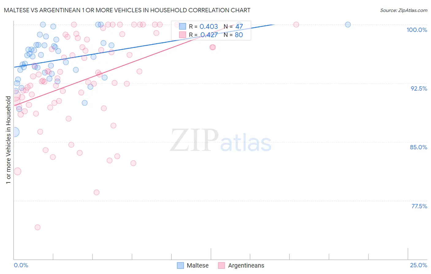 Maltese vs Argentinean 1 or more Vehicles in Household