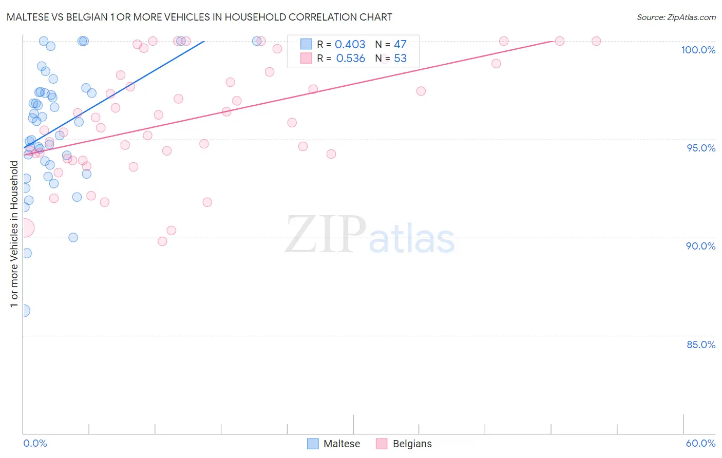 Maltese vs Belgian 1 or more Vehicles in Household