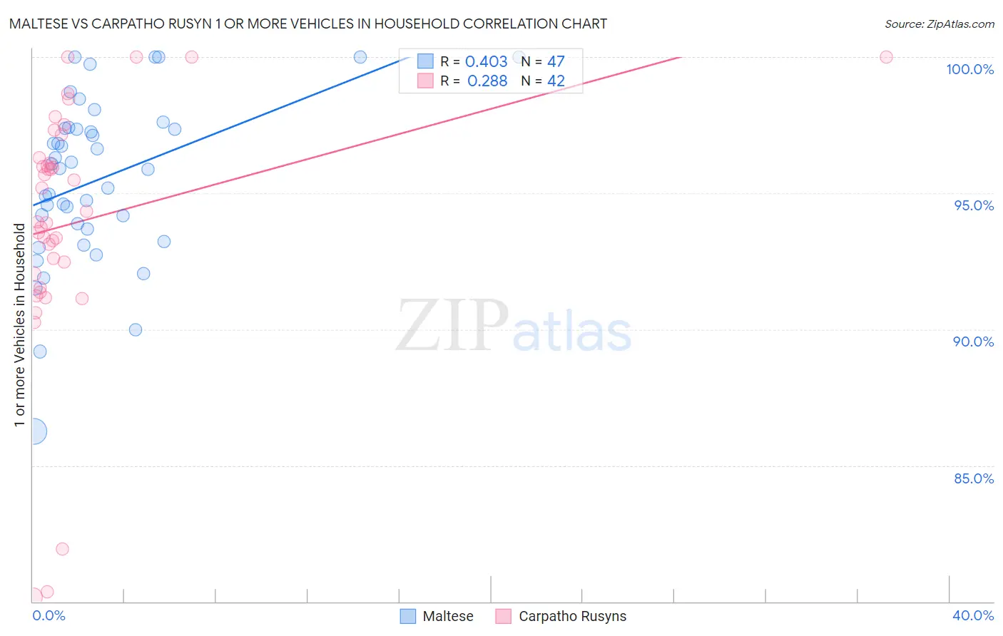Maltese vs Carpatho Rusyn 1 or more Vehicles in Household