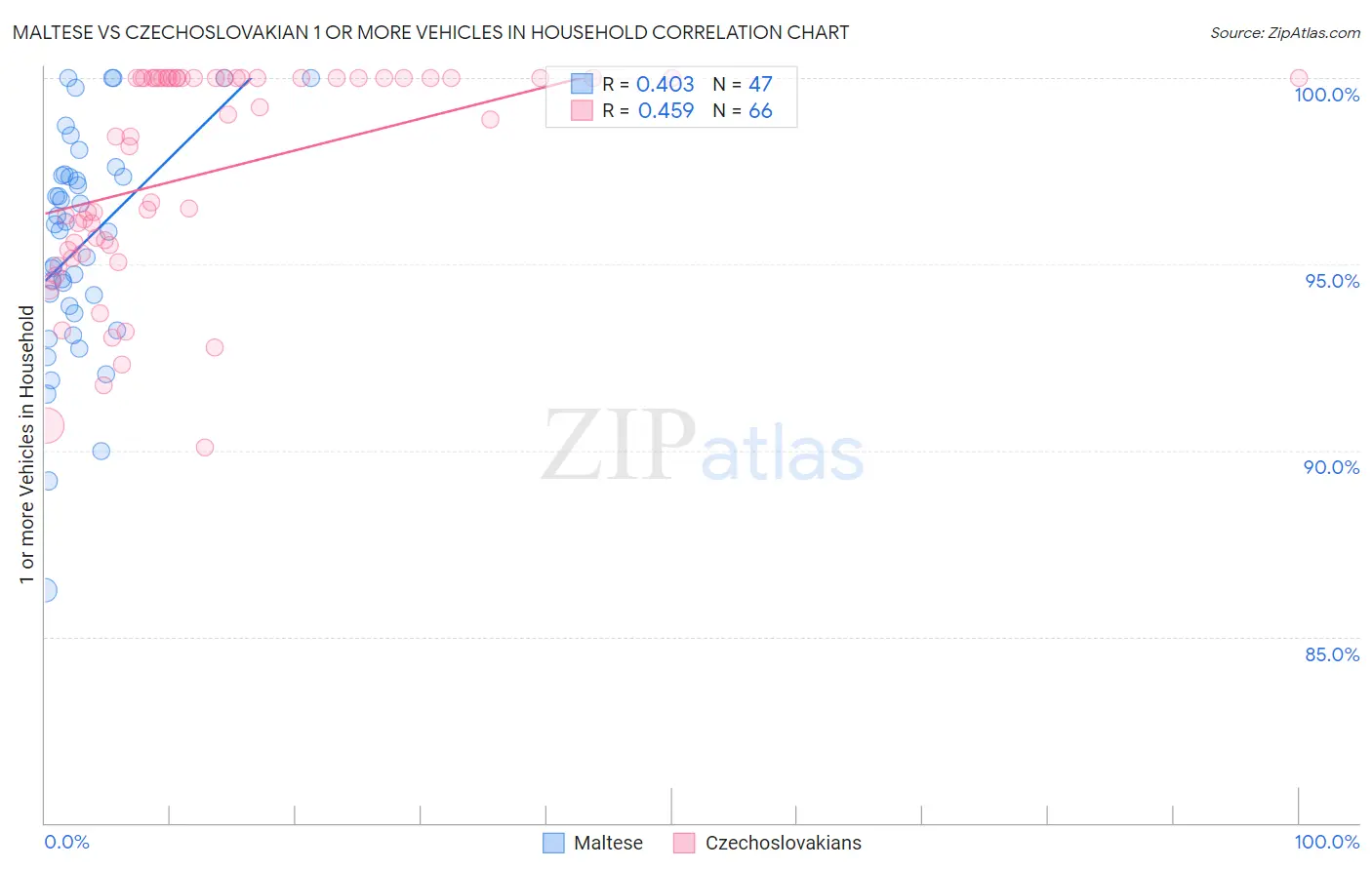Maltese vs Czechoslovakian 1 or more Vehicles in Household