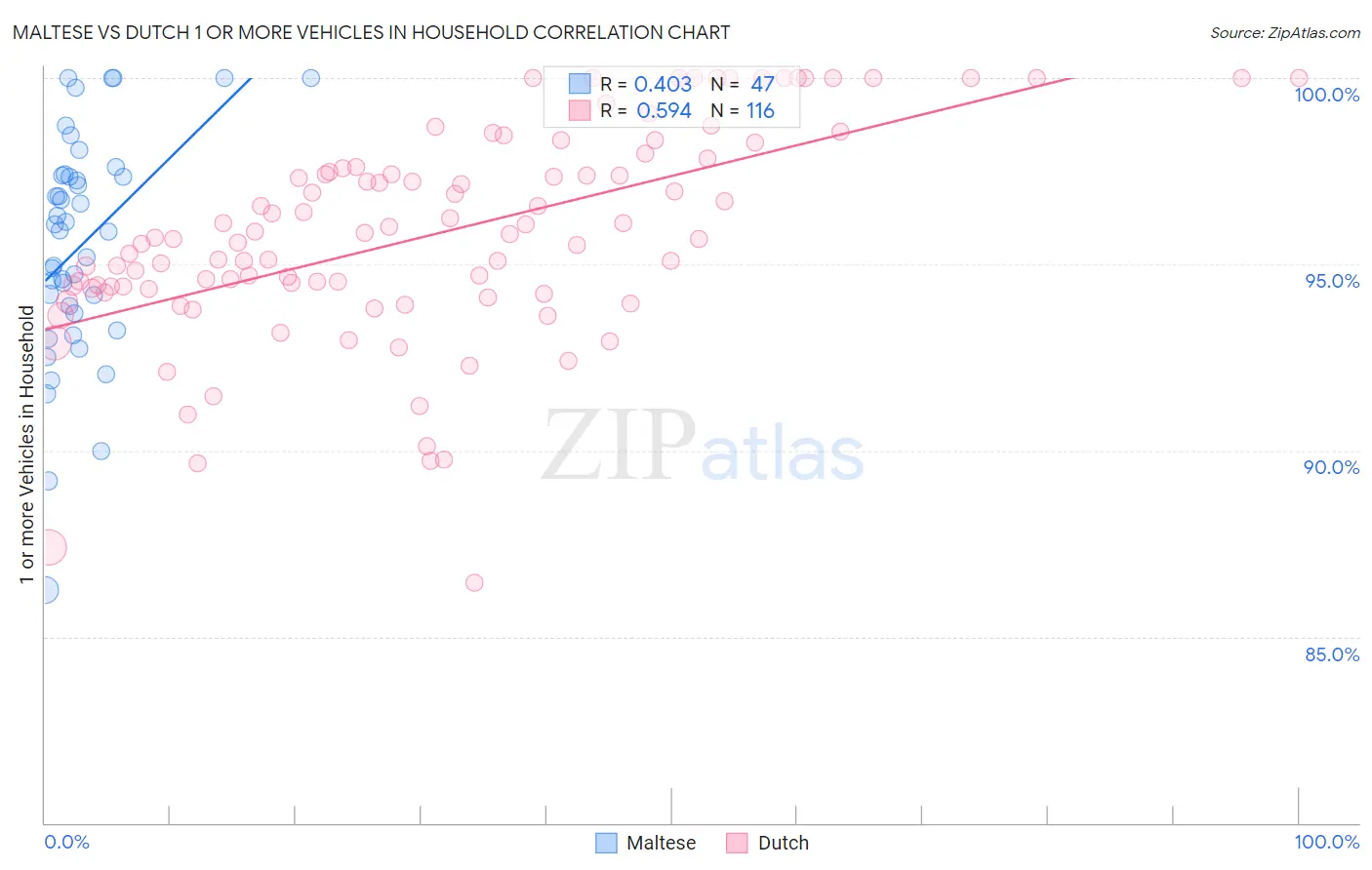 Maltese vs Dutch 1 or more Vehicles in Household