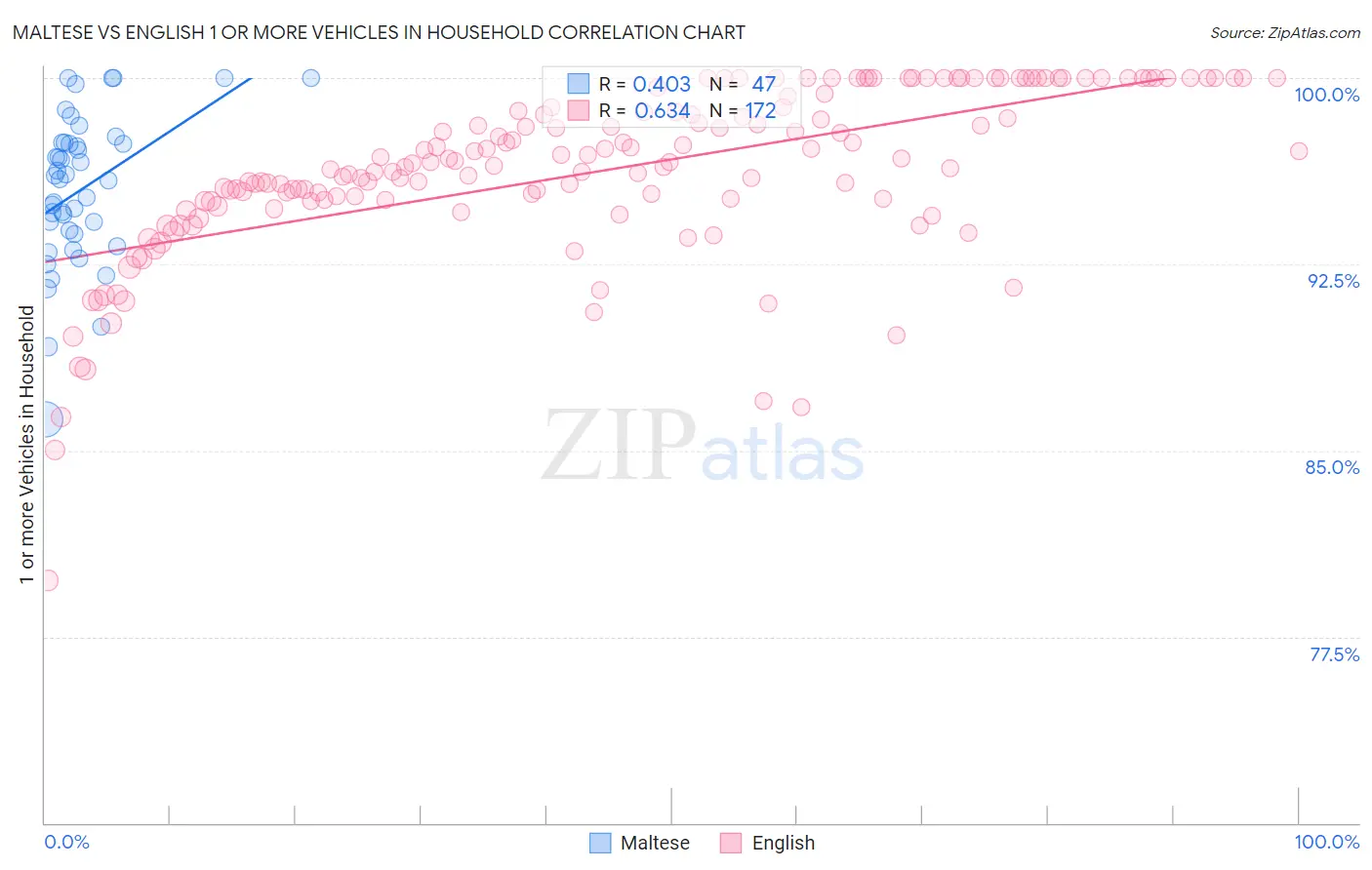 Maltese vs English 1 or more Vehicles in Household