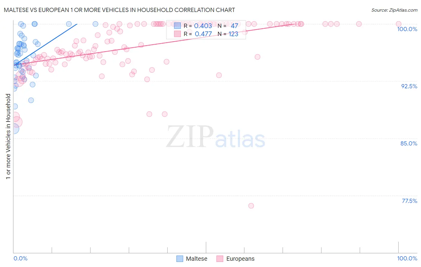 Maltese vs European 1 or more Vehicles in Household