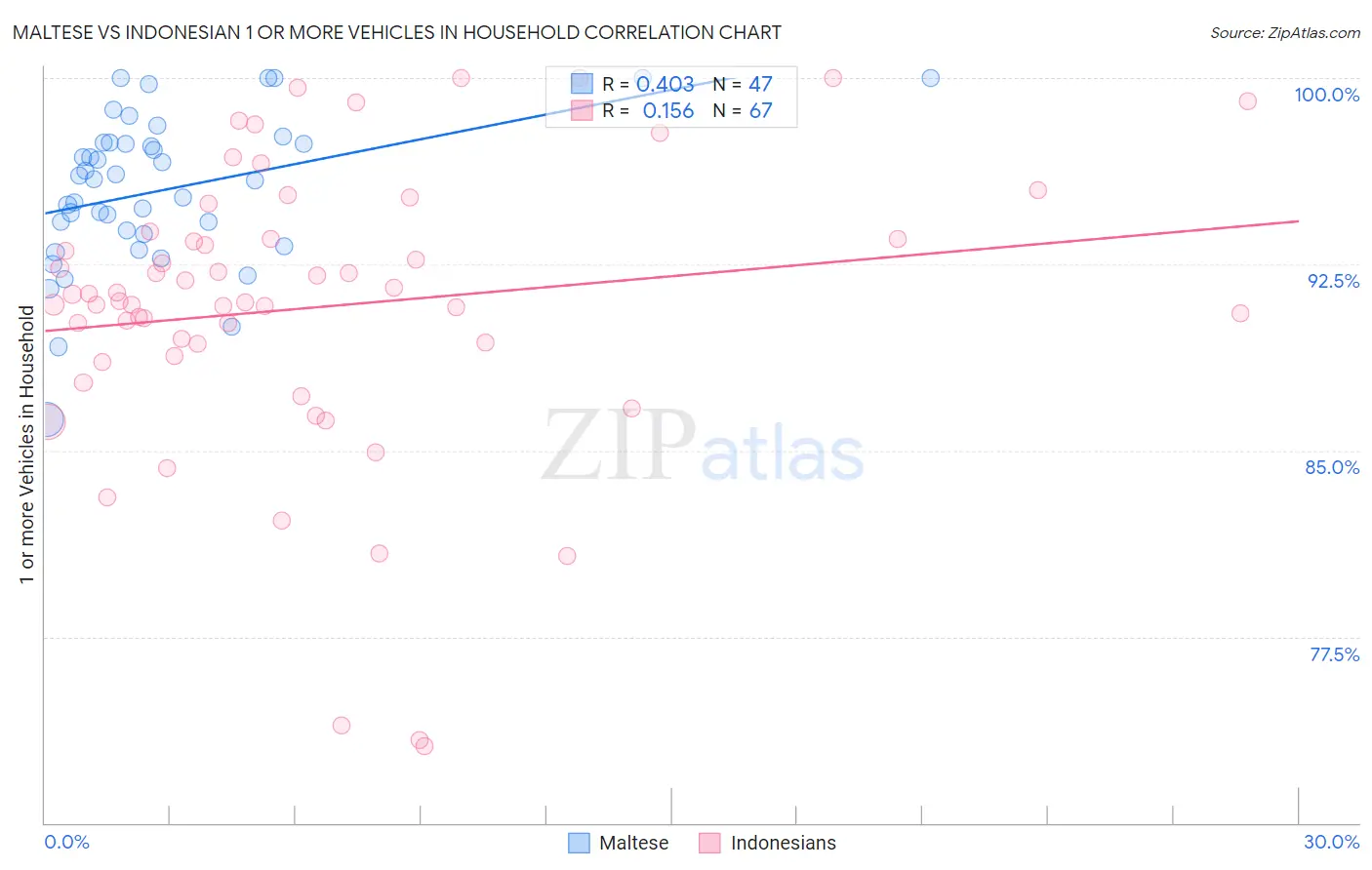 Maltese vs Indonesian 1 or more Vehicles in Household
