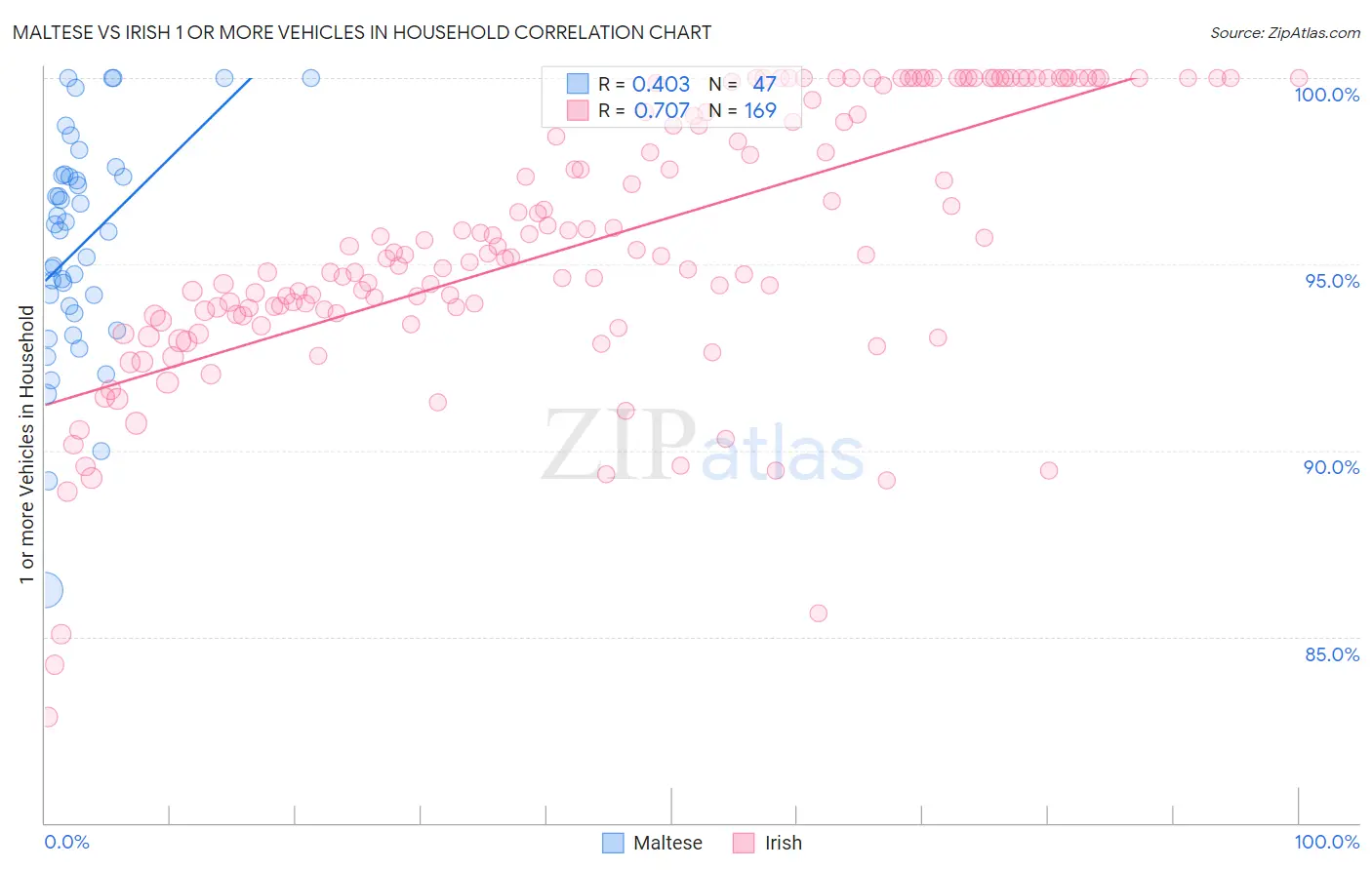 Maltese vs Irish 1 or more Vehicles in Household