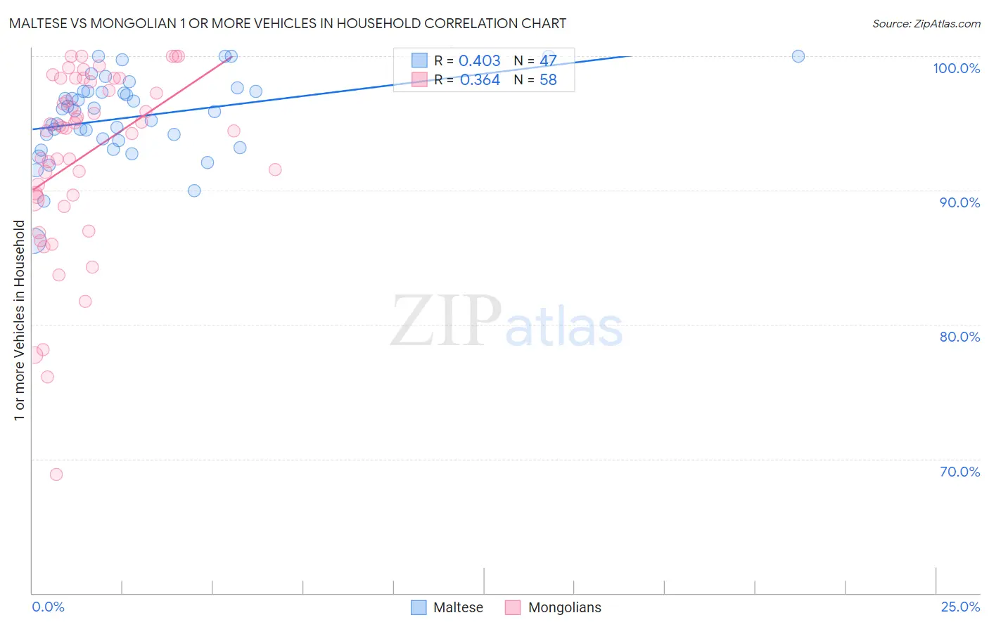 Maltese vs Mongolian 1 or more Vehicles in Household