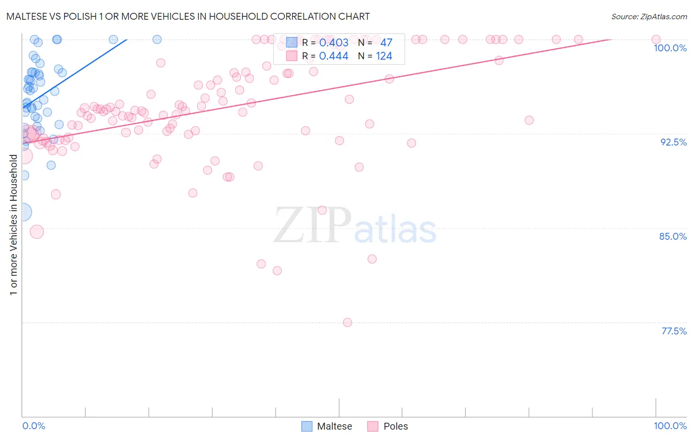 Maltese vs Polish 1 or more Vehicles in Household