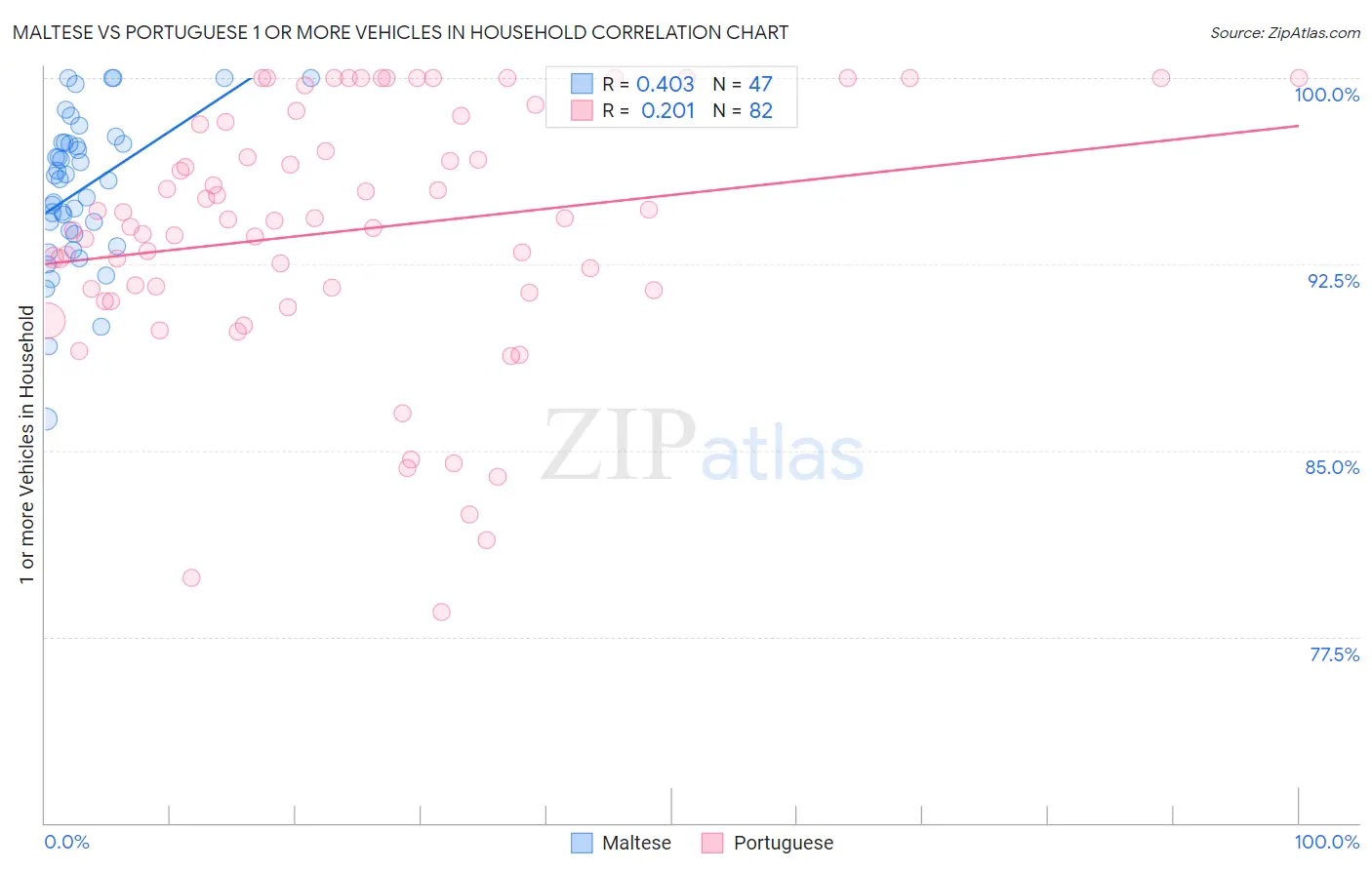Maltese vs Portuguese 1 or more Vehicles in Household